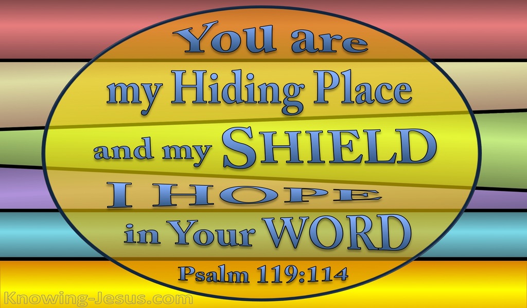 Psalm 119:114 Your Are My Hiding Place (yellow)